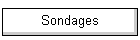 Sondages