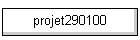 projet290100