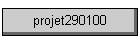 projet290100