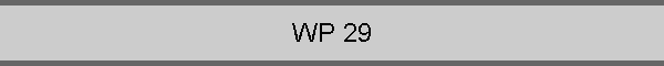 WP 29