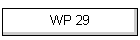 WP 29